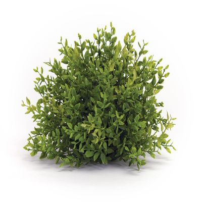 Melrose Mini Leaf Half Orb 7-inch Diameter, Plastic, Artificial Plastic Mini Plants Unique Fake Fresh Green Grass