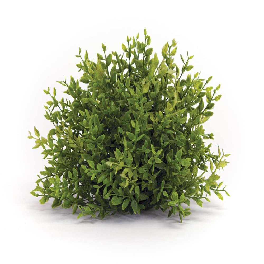 Melrose Mini Leaf Half Orb 7-inch Diameter, Plastic, Artificial Plastic Mini Plants Unique Fake Fresh Green Grass