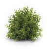 Melrose Mini Leaf Half Orb 7-inch Diameter, Plastic, Artificial Plastic Mini Plants Unique Fake Fresh Green Grass view 1