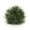 Melrose 78656 Half Orb 6-inch Diameter, Plastic view 1