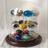 anbcollectibles 4 x 7 Glass Dome with 3 Tier Acrylic Marble Display Insert (5/8" Holes) for Marbles_AB view 2