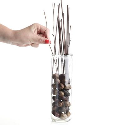 Factory Direct Craft Approx. 50 Pieces of Assorted Natural Reeds and Botanicals