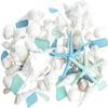 Nautical Crush Trading Sea Shells - White Real Mixed Beach Seashells (1lb) with Starfish & Sea Glass - Shells for Crafts - Ocean Decor - Beach Party Decorations - Seashell Decor - Large Shells Crafts view 1