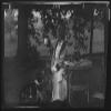 HistoricalFindings Photo: Tarbell,Ida,Miss,Dogs,Outdoors,Portrait Photographs,Women,Arnold Genthe,1912 view 1