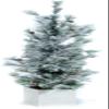 Good Tidings Flocked Tabletop Christmas Tree in a Pot, 3' view 1