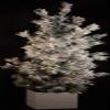 Good Tidings Flocked Tabletop Christmas Tree in a Pot, 3' view 2