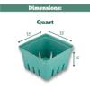 42 Pack QUART Green Molded Pulp Fiber Berry/Produce Vented Baskets for Fruit and Vegetable view 3