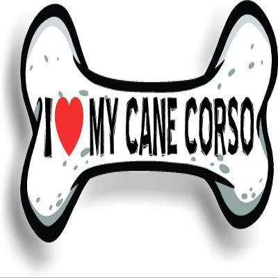 I Love My Cane Corso Car Magnet Bumper Sticker 3"x7"