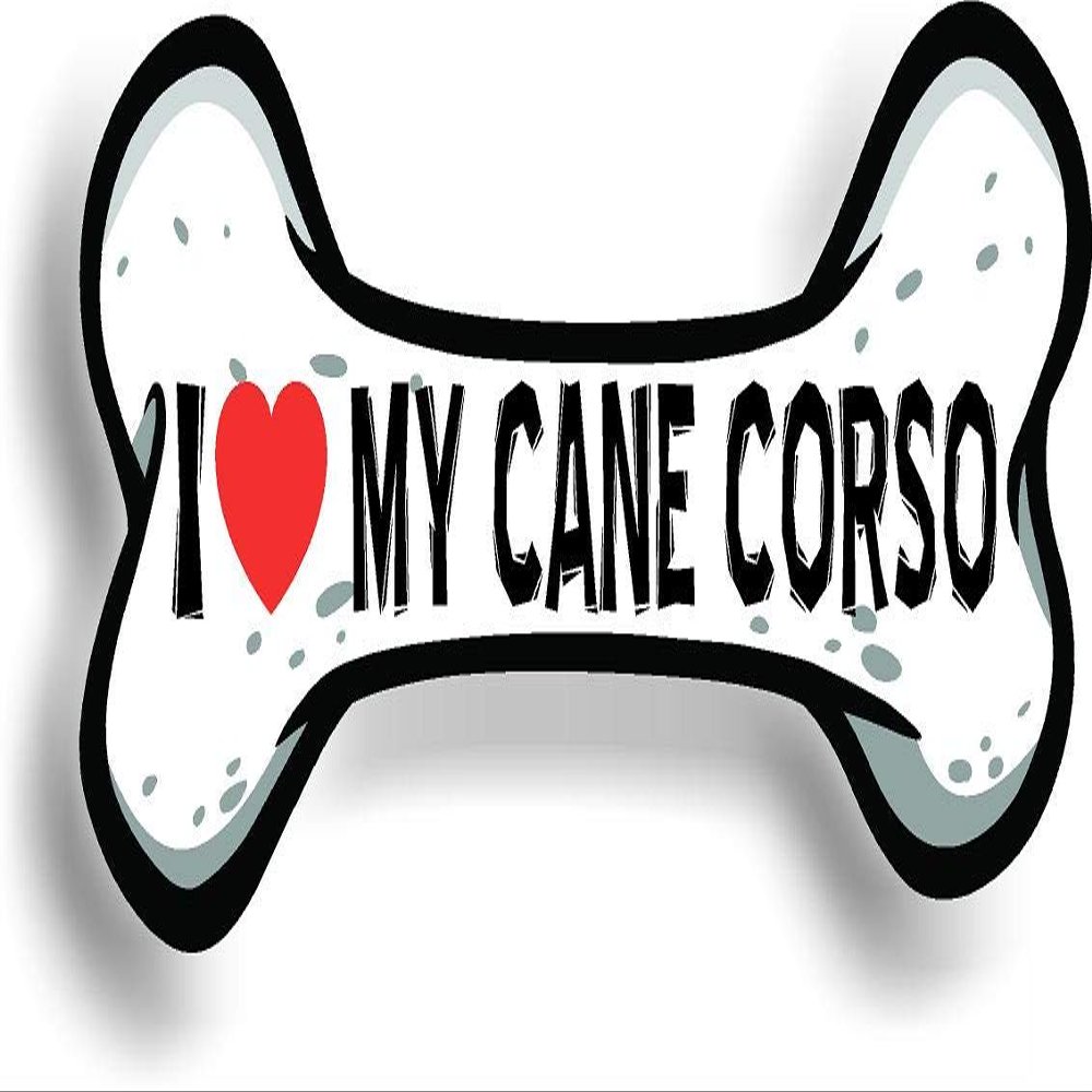 I Love My Cane Corso Car Magnet Bumper Sticker 3"x7"