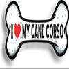 I Love My Cane Corso Car Magnet Bumper Sticker 3"x7" view 1