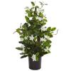 24-inch Artificial Climbing Plant view 1