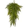28" Fern Artificial Teardrop (Set of 2) view 1