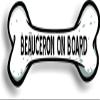 Beauceron on Board Car Magnet Bumper Sticker 3"x7" view 1
