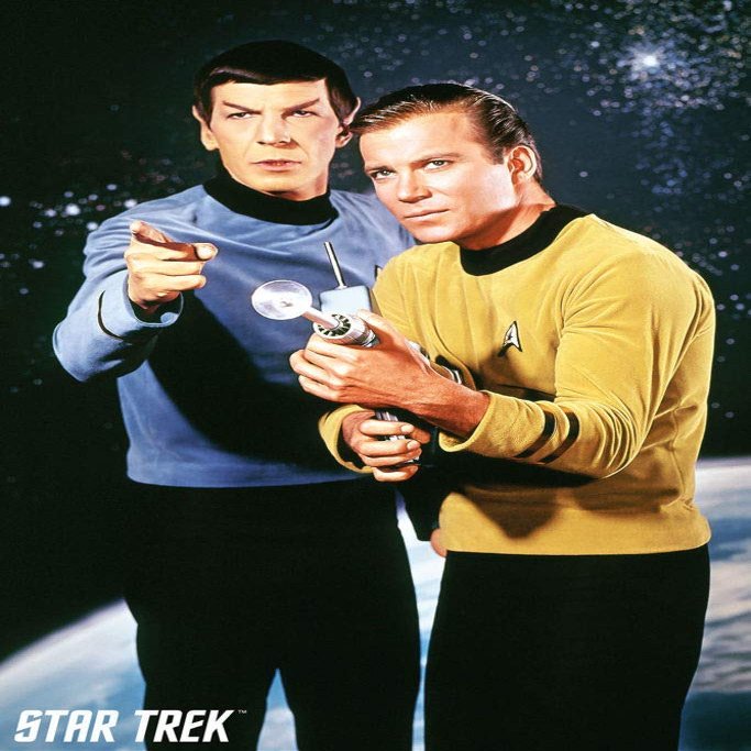 Star Trek Kirk and Spock Laminated Poster - 24.5" x 36.5"