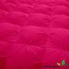 Saferay Green All-Season Luxury - Hotel Collection - Pintuck Style 100% Organic Cotton Queen Size 88 x 92 Inches 1-Piece Pinch Pleat Comforter with 4 Corner Tabs, 500 GSM - Machine Washable, Hot Pink view 4