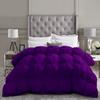 All-Season Luxury - Hotel Collection - Pintuck Style 100% Organic Cotton King Size 102 x 90 Inches 1-Piece Pinch Pleat Comforter with 4 Corner Tabs, 500 GSM - Machine Washable (Purple Solid) view 1