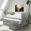 Bedz King Twin Captains Bed with Twin Trundle and 3 Built in Drawers, Weathered Gray view 1