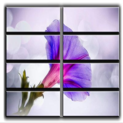 8 Huge Piece Morning Glory Wall Art Decor Picture Painting Poster Print on Canvas Panels Pieces - Nature Theme Wall Decoration Set - Flower Wall Picture for Living Room Bedroom 70 by 100 in
