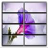 8 Huge Piece Morning Glory Wall Art Decor Picture Painting Poster Print on Canvas Panels Pieces - Nature Theme Wall Decoration Set - Flower Wall Picture for Living Room Bedroom 70 by 100 in view 1