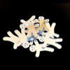 Gingerbread Man Crafting Mirrors, Set of 10 - 4 X 2.8 in - Shatterproof view 2