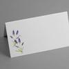 HERB Place Cards (4 Herbs) for Dinner Parties and Events. Table Tent Style, Scored for Easy Folding. Available in Packages of 12, 24, 48 (48) Multi view 4