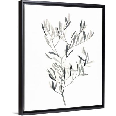 Paynes Grey Botanicals IV Black Float Frame Canvas Art, Floral Artwork