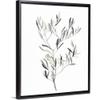 Paynes Grey Botanicals IV Black Float Frame Canvas Art, Floral Artwork view 1
