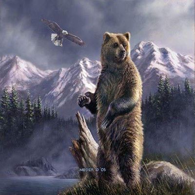 Signature Select Blanket Queen JQ Grizzly Up Bear