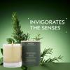 Aveda Rosemary Mint Vegan Soy Wax Candle | Invigorating Aroma of Certified Organic Peppermint, Spearmint, Rosemary | 100% Naturally Derived* view 2