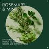 Aveda Rosemary Mint Vegan Soy Wax Candle | Invigorating Aroma of Certified Organic Peppermint, Spearmint, Rosemary | 100% Naturally Derived* view 3