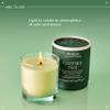 Aveda Rosemary Mint Vegan Soy Wax Candle | Invigorating Aroma of Certified Organic Peppermint, Spearmint, Rosemary | 100% Naturally Derived* view 4