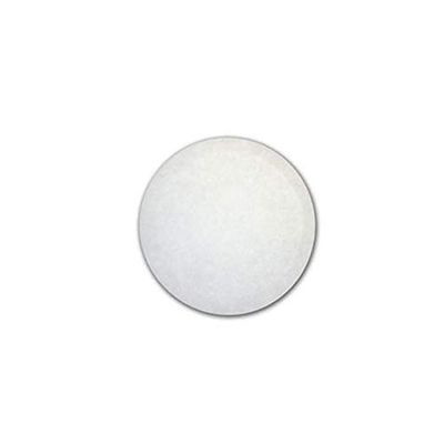 12 Inch Polishing Pad Replacement Part For Orbiter Works with Orb300, Orb400 (1 Pad) # compare to part 437051