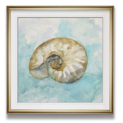Renditions Gallery Biscayne Treasure II Nautilus Seashell Painting Nautical Art Framed Giclee Canvas Prints Coastal Wall Decor