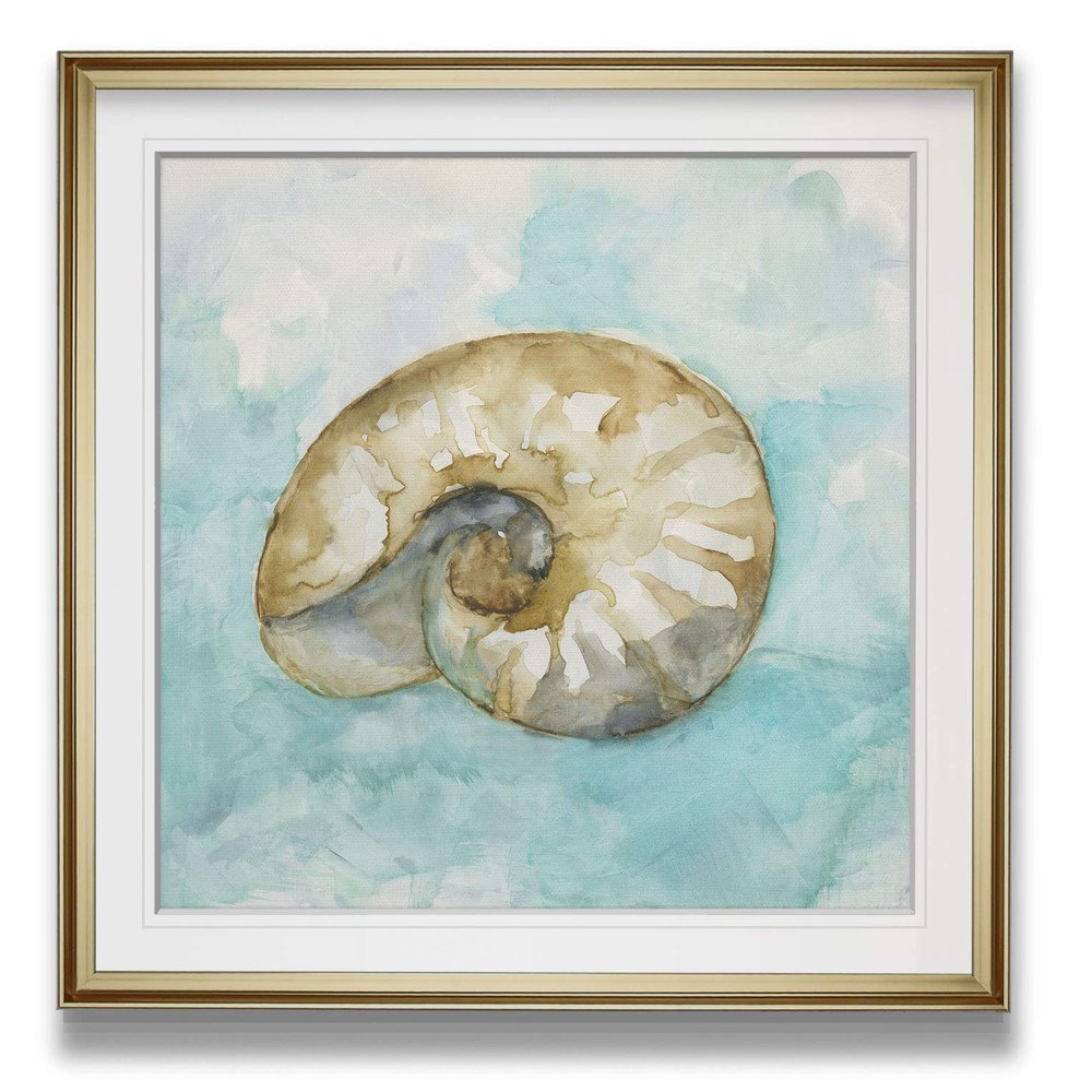 Renditions Gallery Biscayne Treasure II Nautilus Seashell Painting Nautical Art Framed Giclee Canvas Prints Coastal Wall Decor