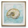 Renditions Gallery Biscayne Treasure II Nautilus Seashell Painting Nautical Art Framed Giclee Canvas Prints Coastal Wall Decor view 1