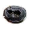 55Carat Original Damodar Shaligram Lord Vishnu Shila Origin From Gandaki River Nepal For Fossil Stone view 1
