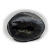 55Carat Original Damodar Shaligram Lord Vishnu Shila Origin From Gandaki River Nepal For Fossil Stone view 4
