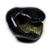 55Carat Original Laxmi Shaligram From Gandaki River in Nepal Idol Lord Vishnu,Fossil Stone For Worship view 1