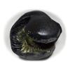 55Carat Original Laxmi Shaligram From Gandaki River in Nepal Idol Lord Vishnu,Fossil Stone For Worship view 2
