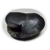 55Carat Original Laxmi Shaligram From Gandaki River in Nepal Idol Lord Vishnu,Fossil Stone For Worship view 3