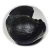 55Carat Original Laxmi Shaligram From Gandaki River in Nepal Idol Lord Vishnu,Fossil Stone For Worship view 4
