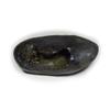 55Carat Original Narasimha Shaligram From Gandaki River Nepal Idol Lord Vishnu,Fossil Stone For Worship view 1