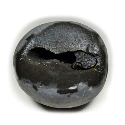 55Carat Original Damodar Shaligram From Gandaki River in Nepal Idol Lord Vishnu,Stone For Worship