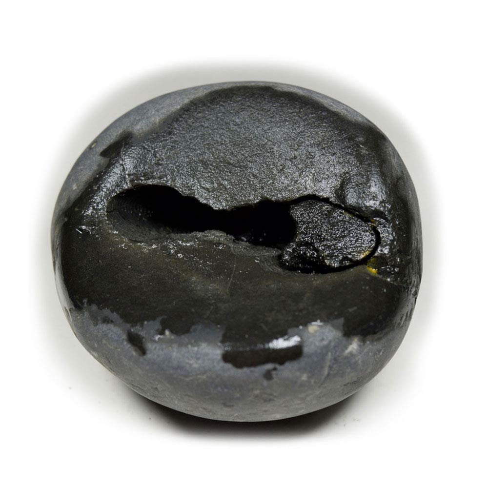 55Carat Original Damodar Shaligram From Gandaki River in Nepal Idol Lord Vishnu,Stone For Worship