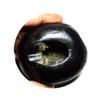 55Carat Original Hayagriva Shaligram Origin Gandaki River Nepal Vishnu Lord Shila A+ Qulaity Fossil Stone view 1