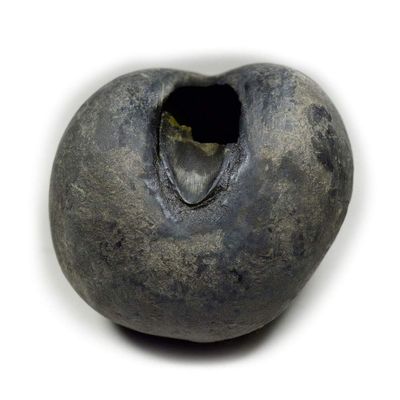 55Carat Original Santan Gopal Shaligram From Gandaki River in Nepal Lord Vishnu,Fossil Stone For Worship