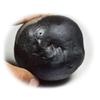 55Carat Original Santan Gopal Shaligram From Gandaki River in Nepal Lord Vishnu,Fossil Stone For Worship view 2