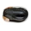 55Carat Original Damodar Shaligram Shila Origin From Gandaki River Nepal Idol Lord Vishnu For Worship view 1