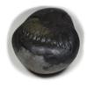 55Carat Original Damodar Shaligram Shila Origin From Gandaki River Nepal Idol Lord Vishnu For Worship view 2
