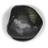 55Carat Original Damodar Shaligram Shila Origin From Gandaki River Nepal Idol Lord Vishnu For Worship view 4